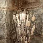 Theresia- Tailor Made Ξενοδοχείο με διαμερίσματα