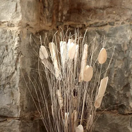 Theresia- Tailor Made Appart hôtel