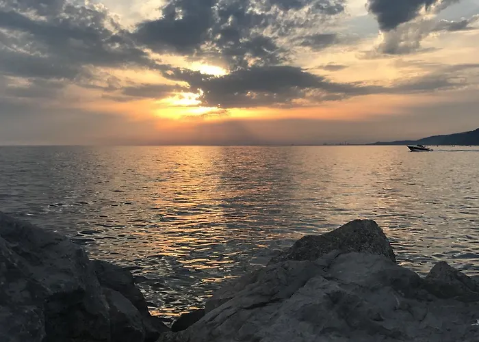 Theresia- Tailor Made ترييستي